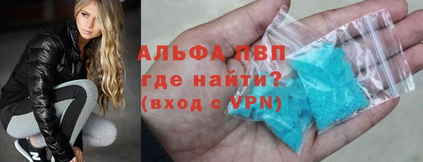 крисы Тында