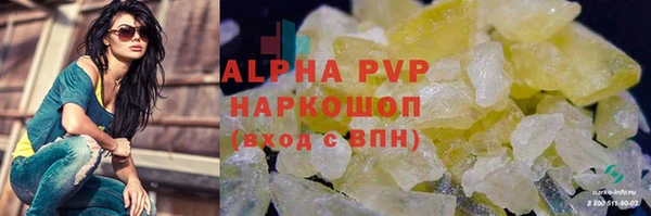 крисы Тында