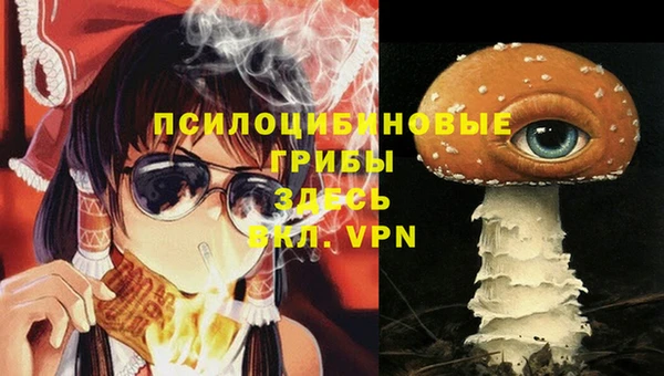 spice Белоозёрский