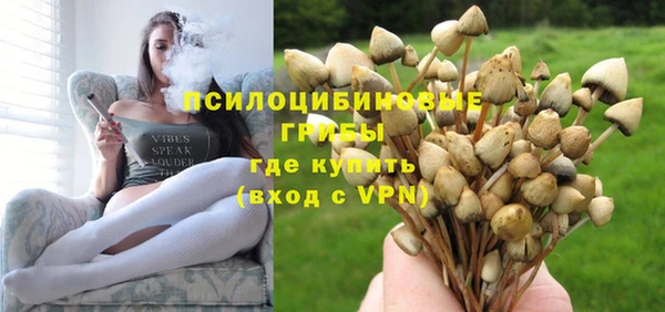 бутират Тобольск