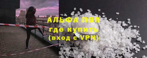 крисы Тында