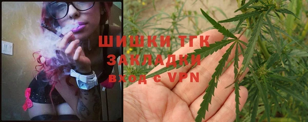 крисы Тында